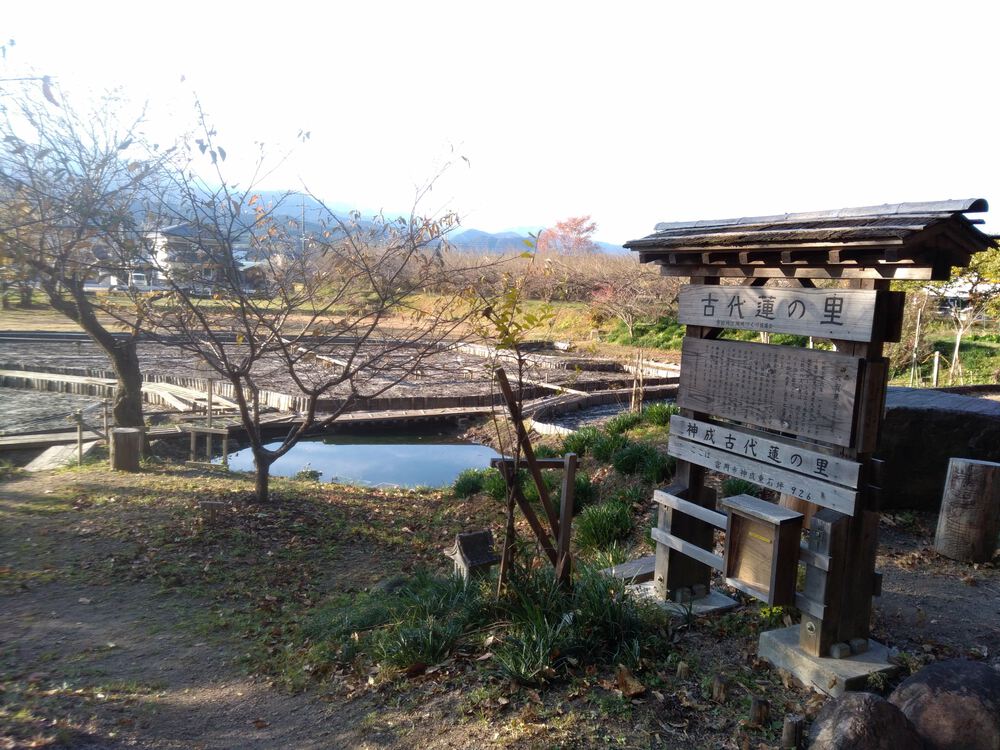 ミニ妙義のような神成山トレイルランニングの写真13