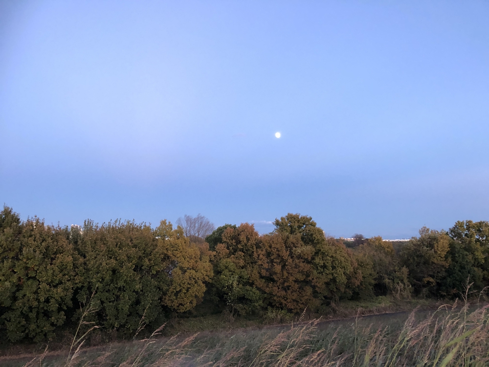 戸田市からのおススメ絶景コースの写真5