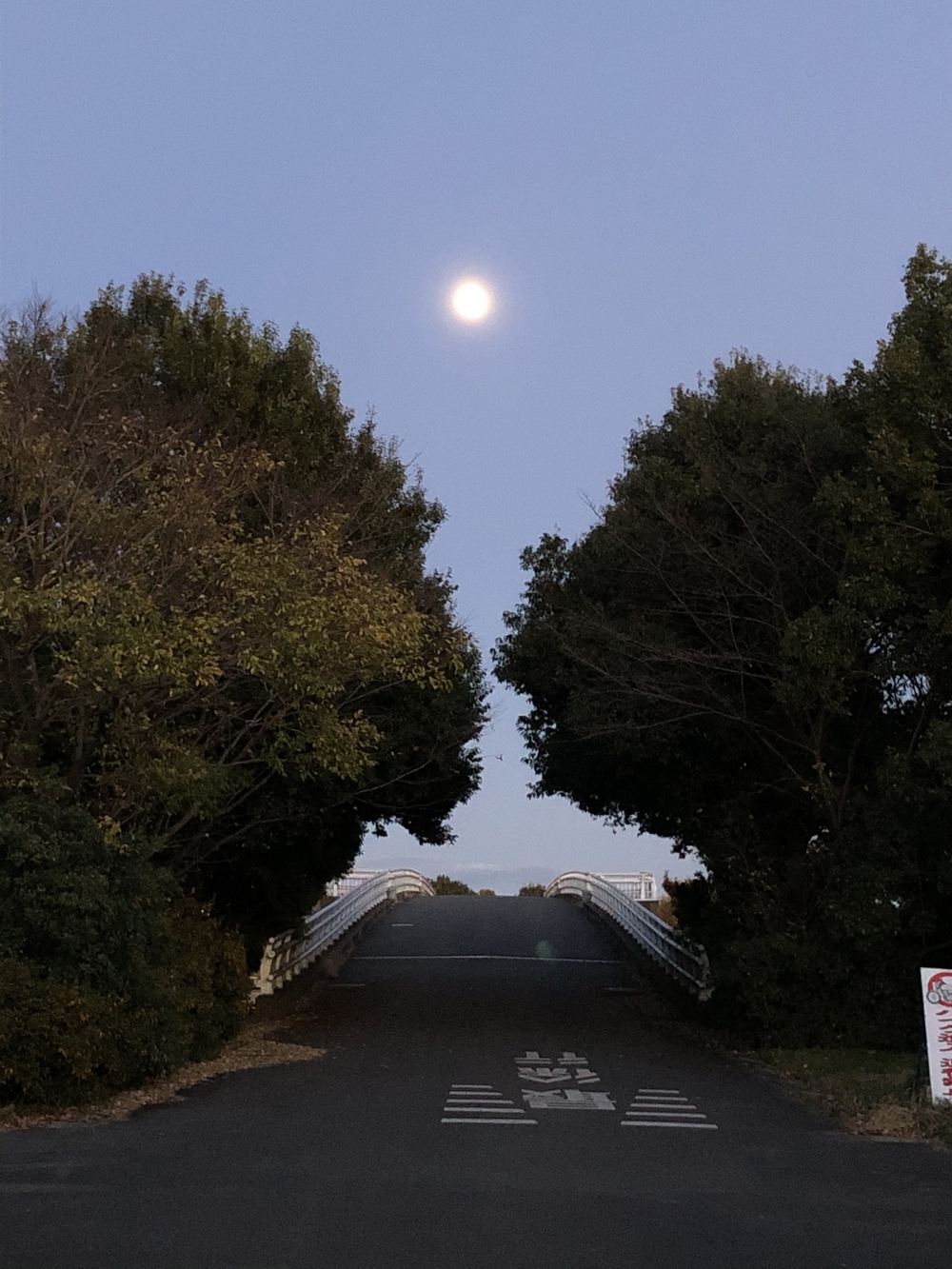 戸田市からのおススメ絶景コースの写真6