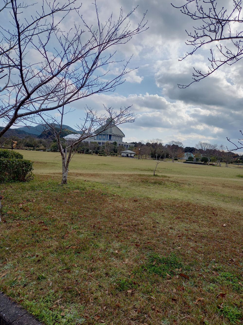 炎博記念堂公園コースの写真3