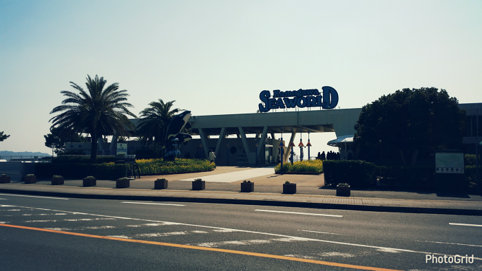 快適サーフィンビーチランの写真3