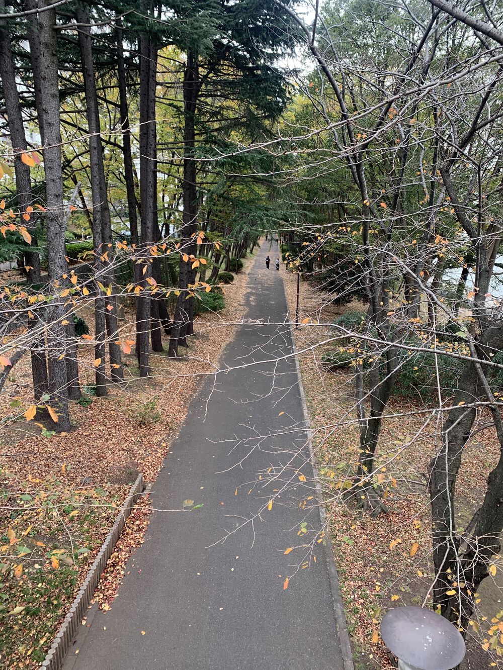 歌川広重と共にRUN 鮫洲の写真6