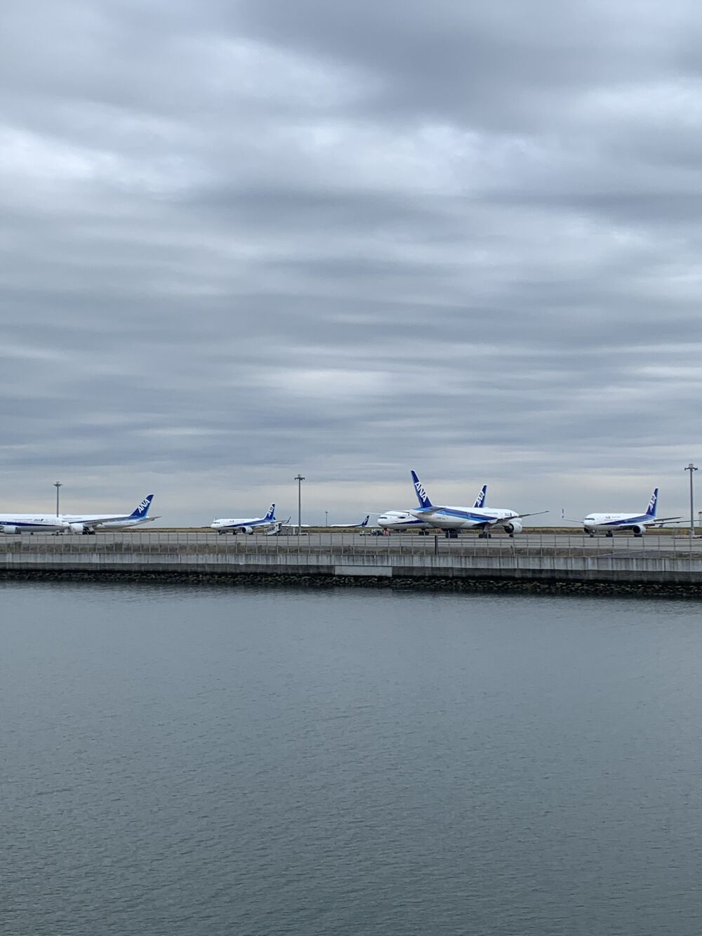 歌川広重と共にRUN 鮫洲の写真7