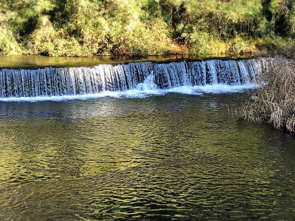 メルヘン牧場の写真3