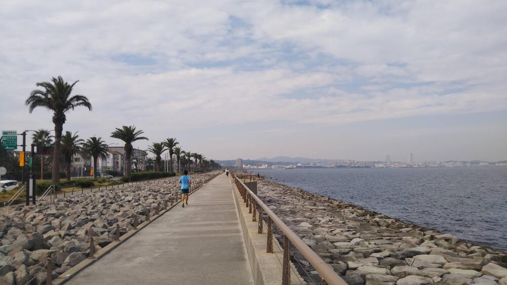 馬堀-観音崎のシーサイドコースの写真3