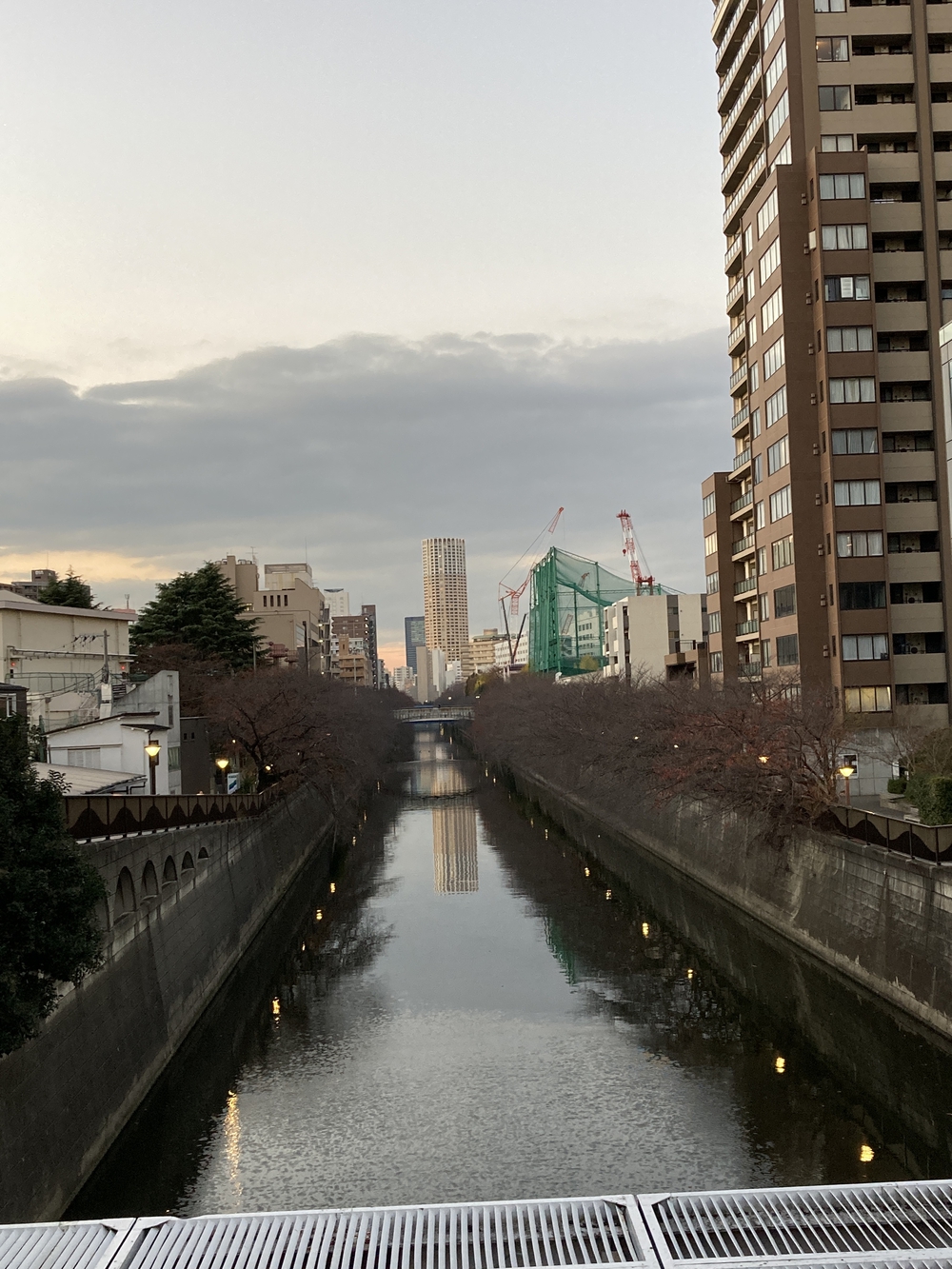 目黒川10km(池尻大橋〜五反田 往復)の写真4