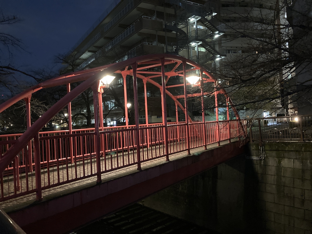 目黒川10km(池尻大橋〜五反田 往復)の写真6