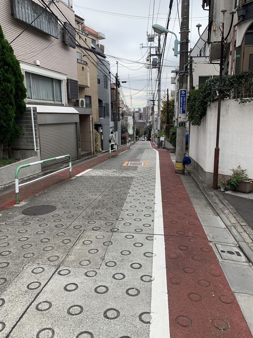 歌川広重と共にRUN 高田馬場〜 神田川の写真6