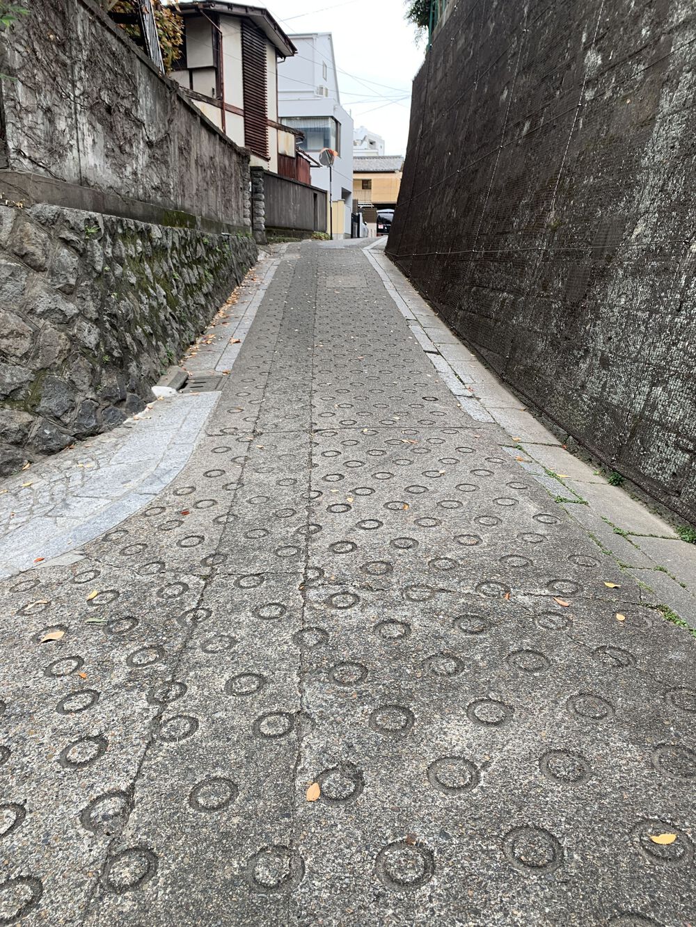 歌川広重と共にRUN 高田馬場〜 神田川の写真8