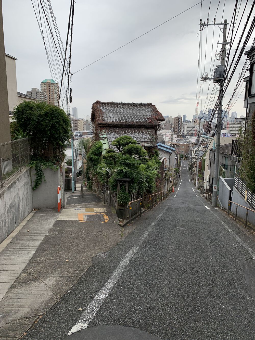 歌川広重と共にRUN 高田馬場〜 神田川の写真9