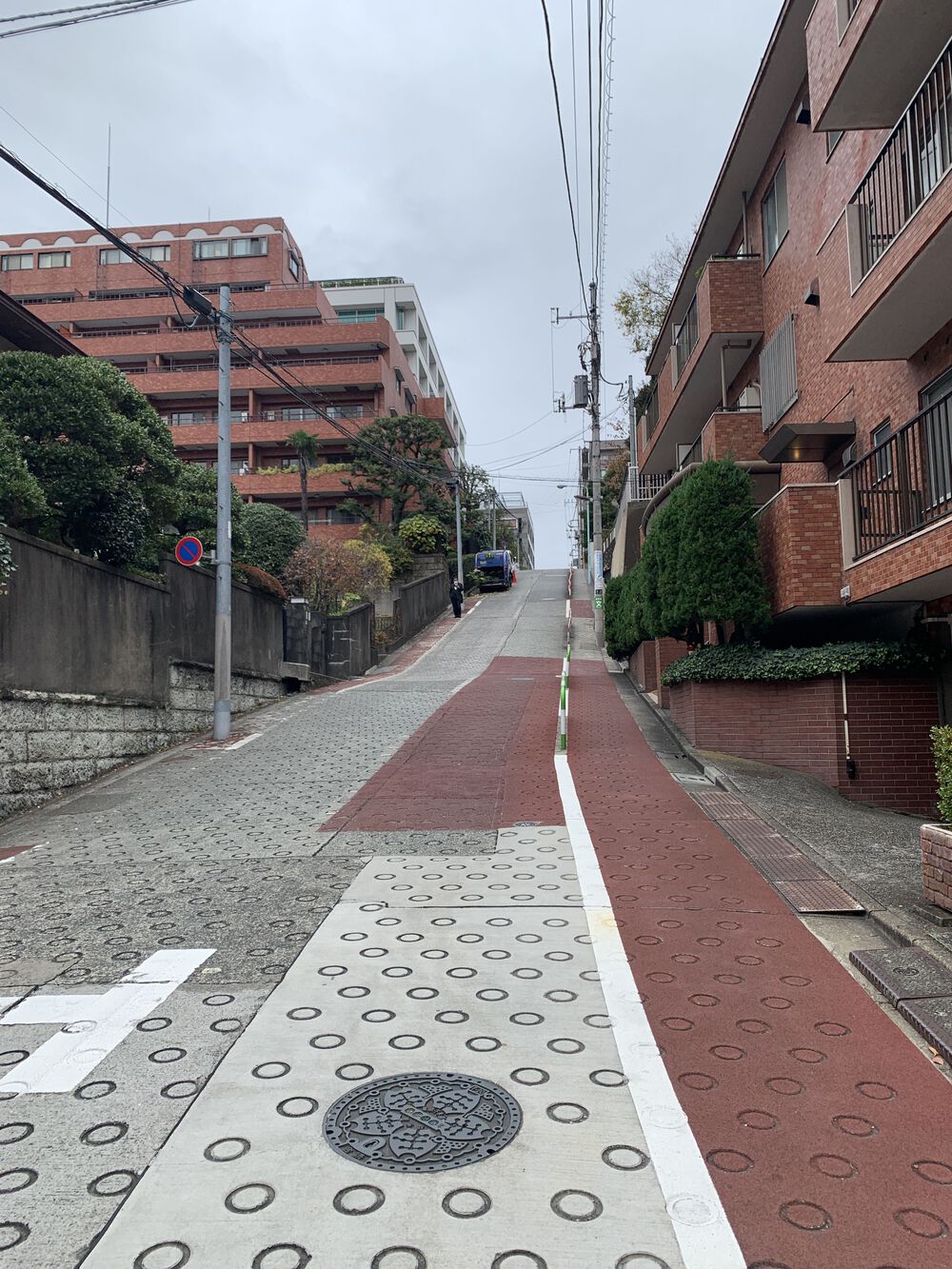 歌川広重と共にRUN 高田馬場〜 神田川の写真10