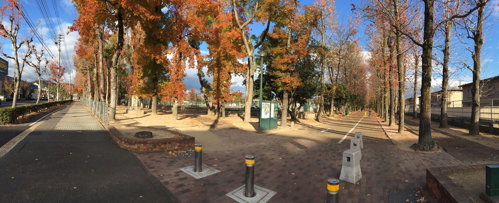 岡山県総合グラウンド一周の写真3