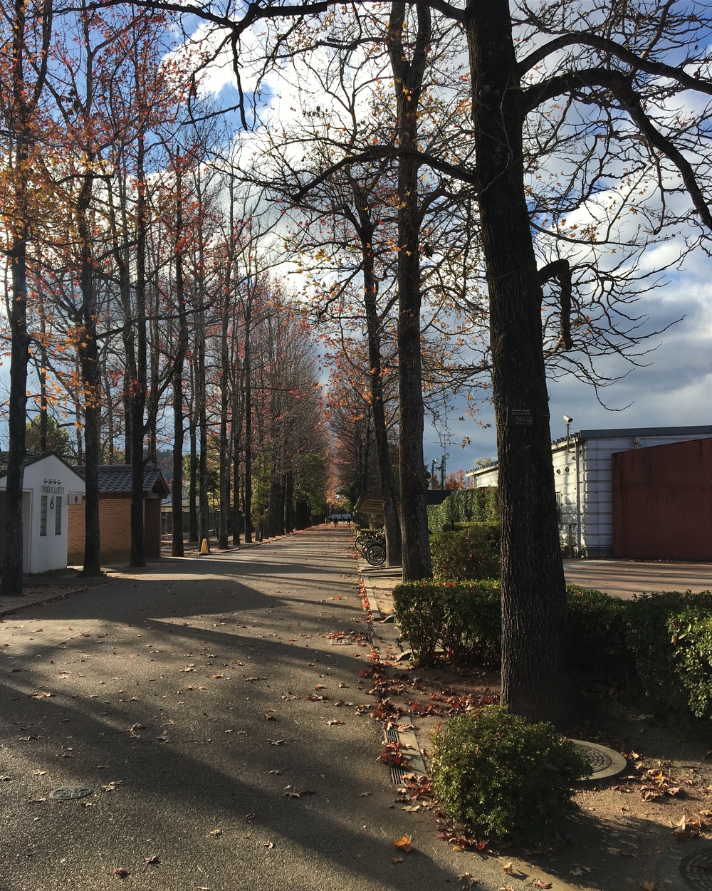 岡山県総合グラウンド一周の写真4