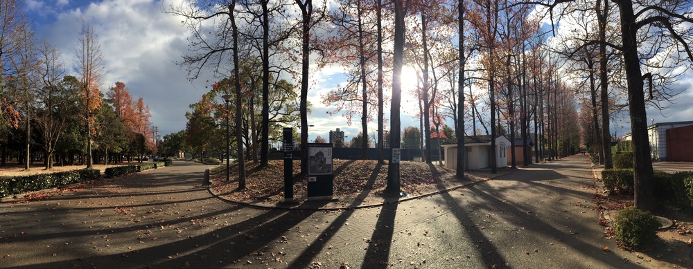 岡山県総合グラウンド一周の写真5