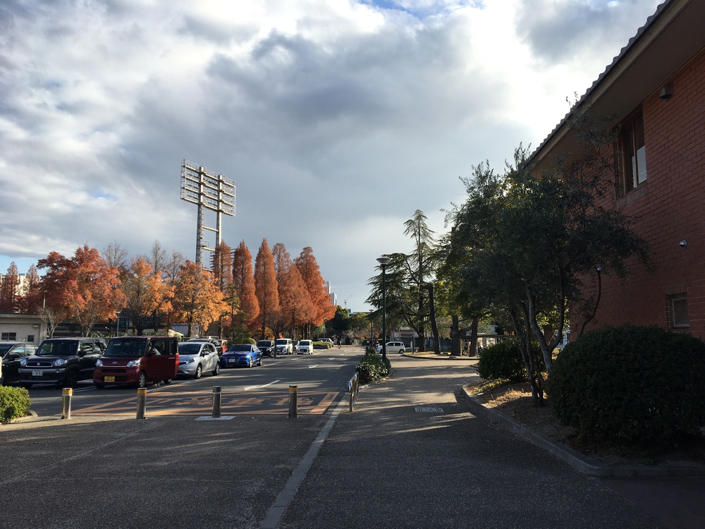 岡山県総合グラウンド一周の写真6