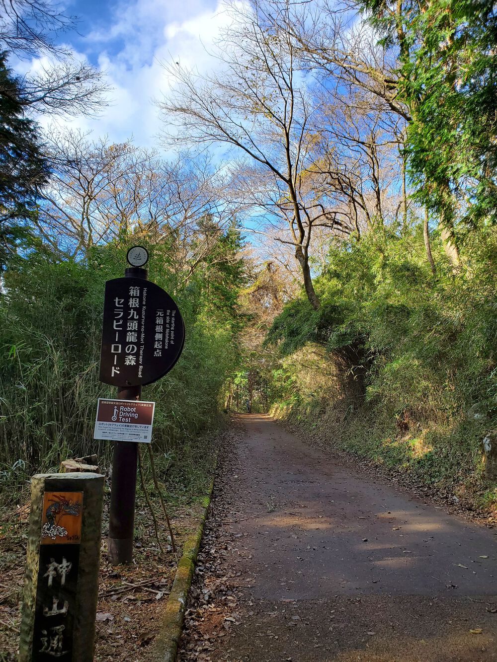 芦ノ湖RUN🏃🏃‍♀️💨の写真6