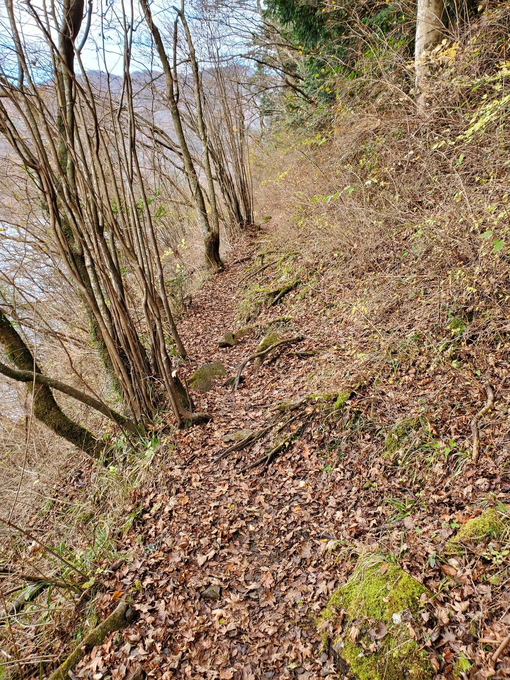 芦ノ湖RUN🏃🏃‍♀️💨の写真12