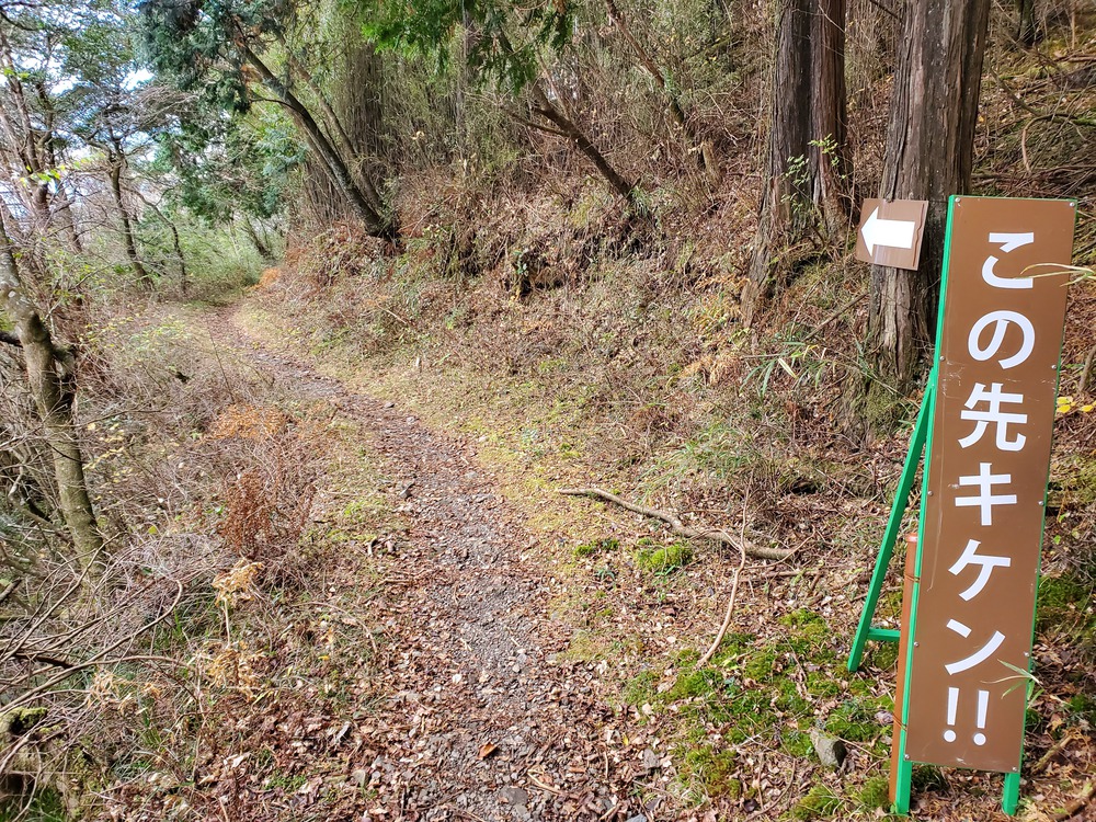 芦ノ湖RUN🏃🏃‍♀️💨の写真13