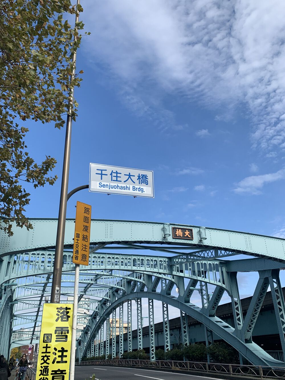 歌川広重と共にRUN 隅田川〜千住大橋の写真4