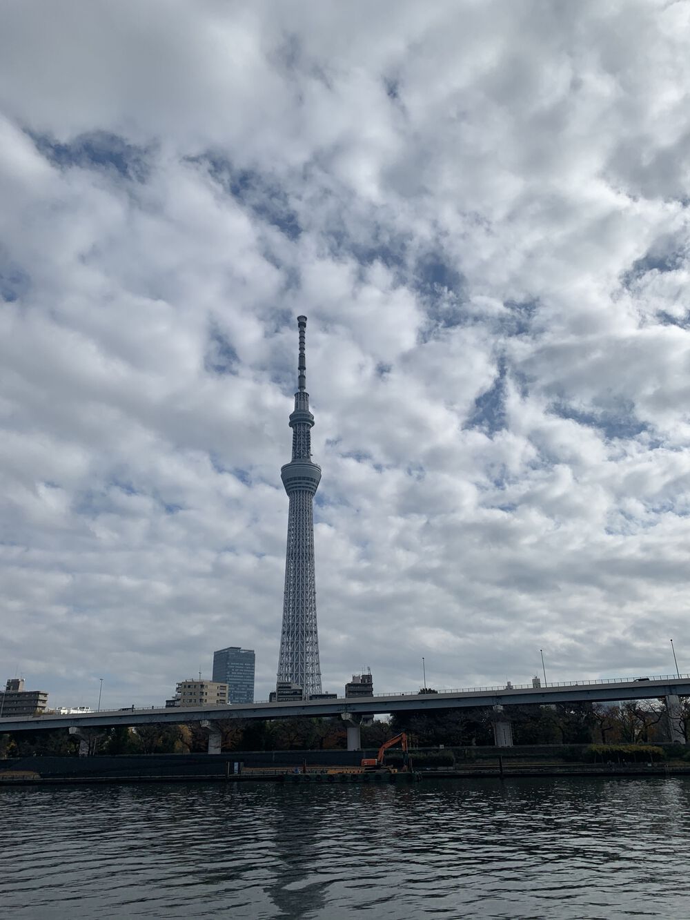 歌川広重と共にRUN 隅田川〜千住大橋の写真5