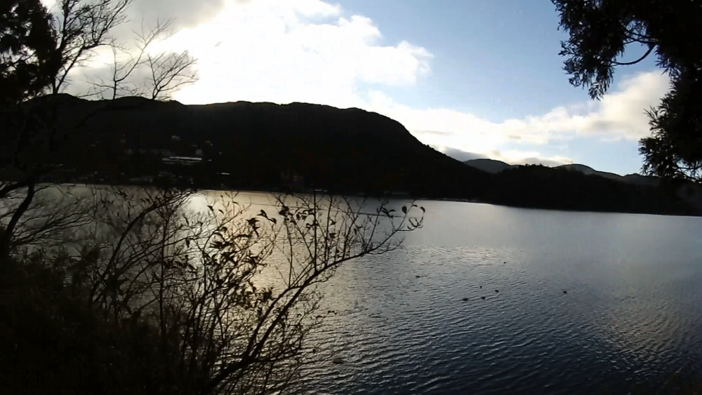 箱根歴史回廊を巡る１３キロのランニングの写真6