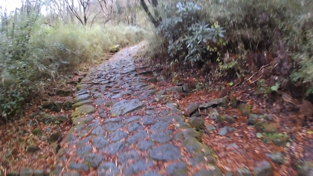 箱根歴史回廊を巡る１３キロのランニングの写真8