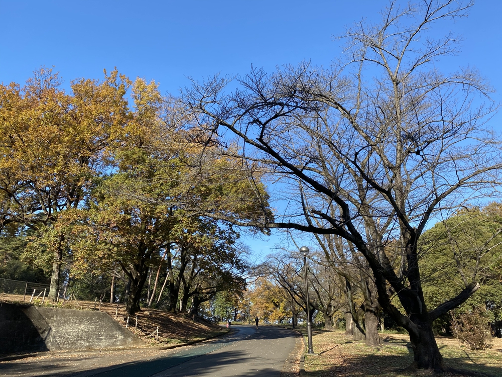 ラントリップ入間の写真11