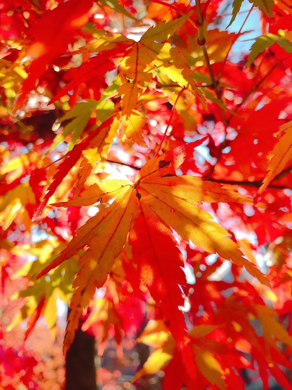 ラントリップ入間の写真16