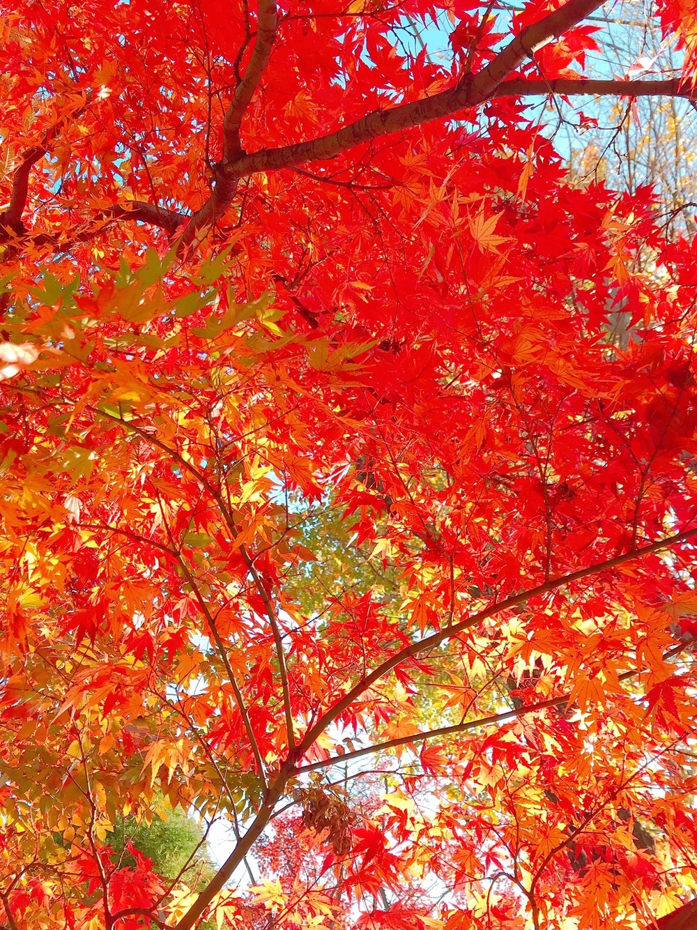 ラントリップ入間の写真18