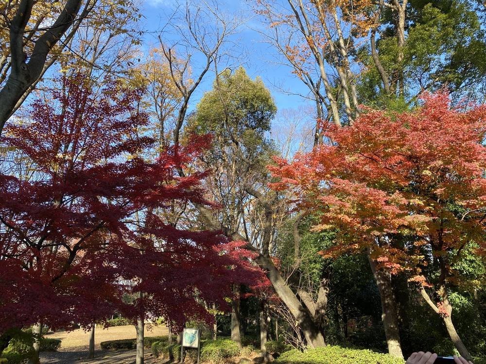 ラントリップ入間の写真19