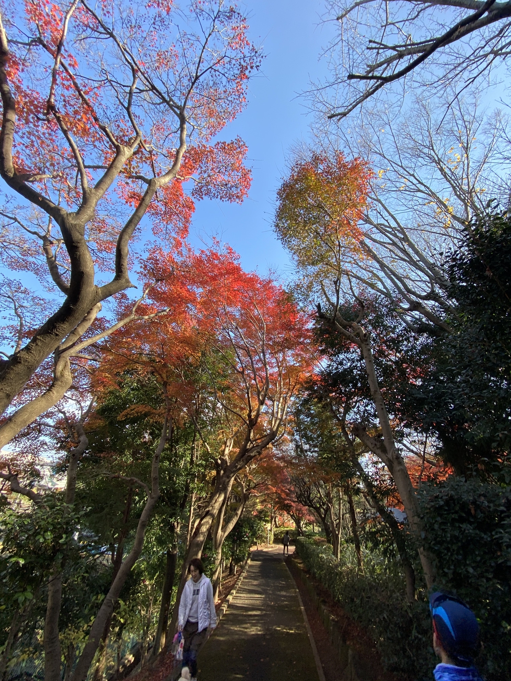 ラントリップ入間の写真20