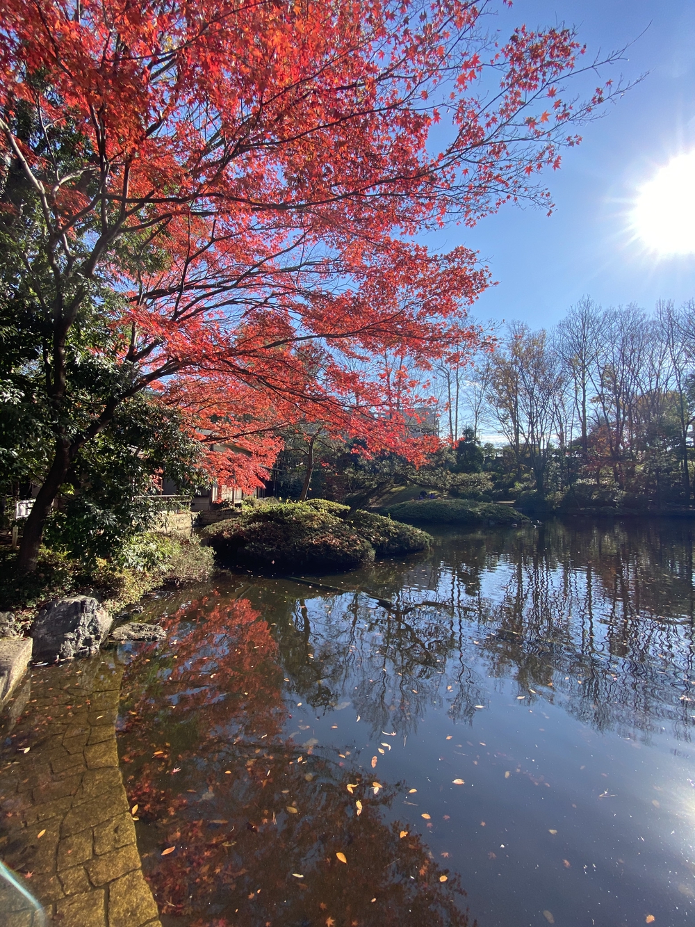 ラントリップ入間の写真21