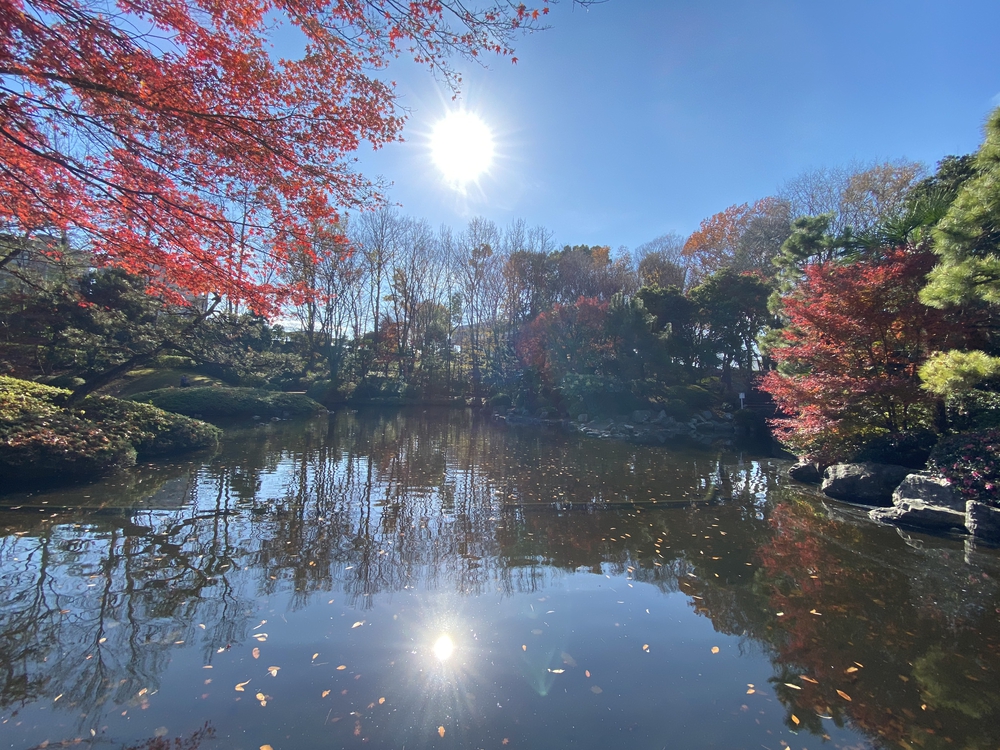 ラントリップ入間の写真22