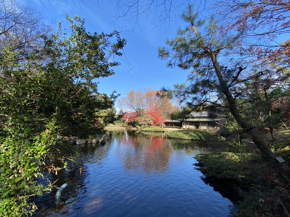 ラントリップ入間の写真24