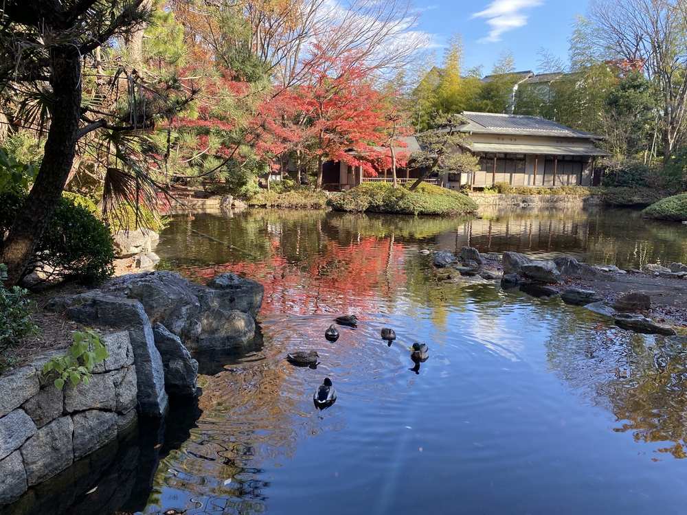 ラントリップ入間の写真25