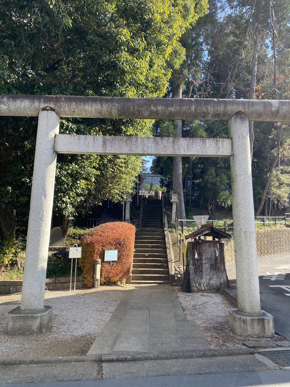 ラントリップ入間の写真27