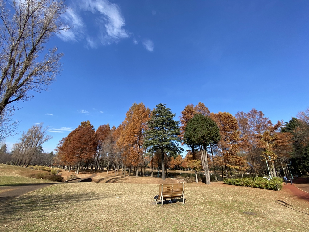 ラントリップ入間の写真28