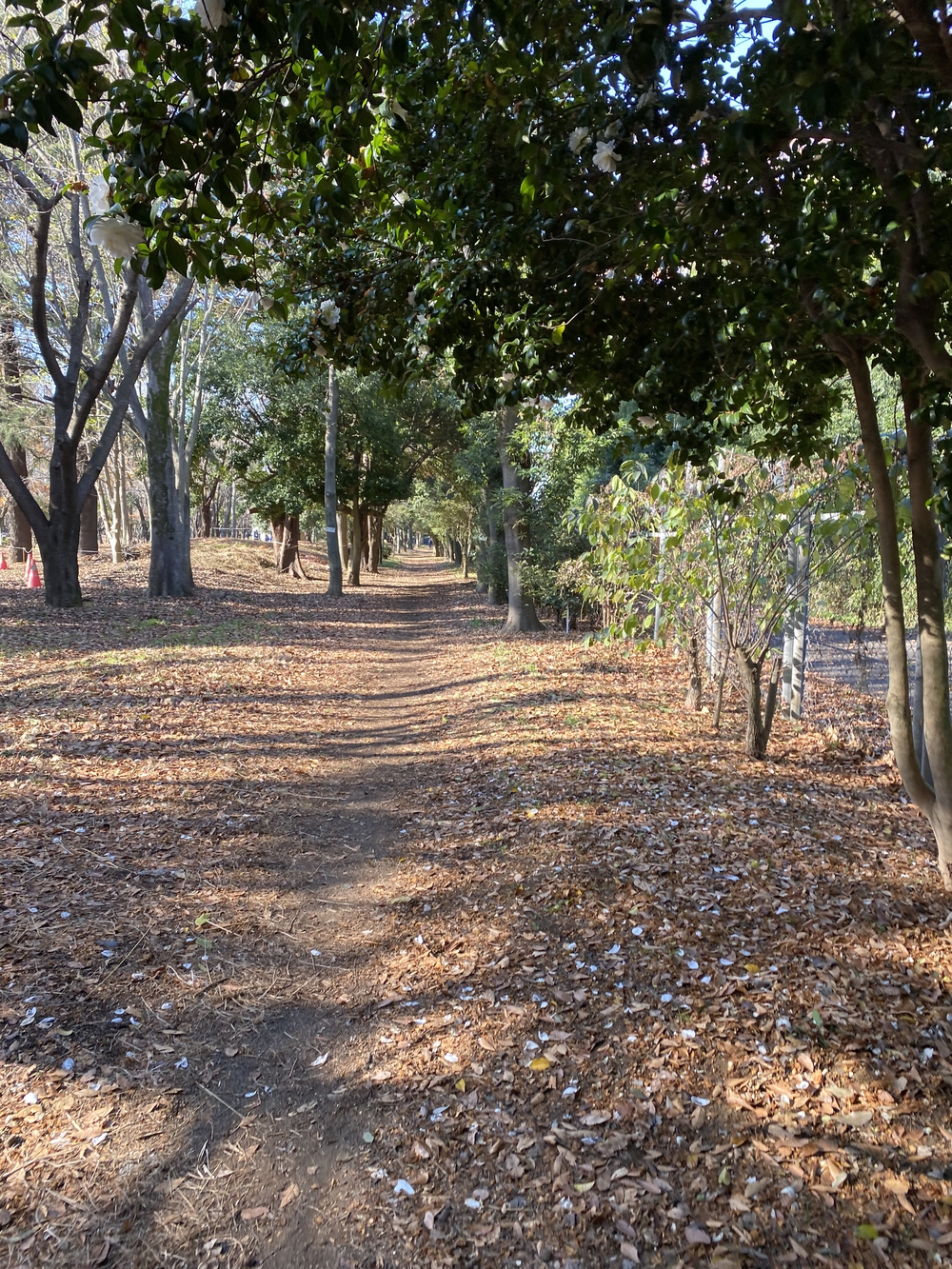 ラントリップ入間の写真31