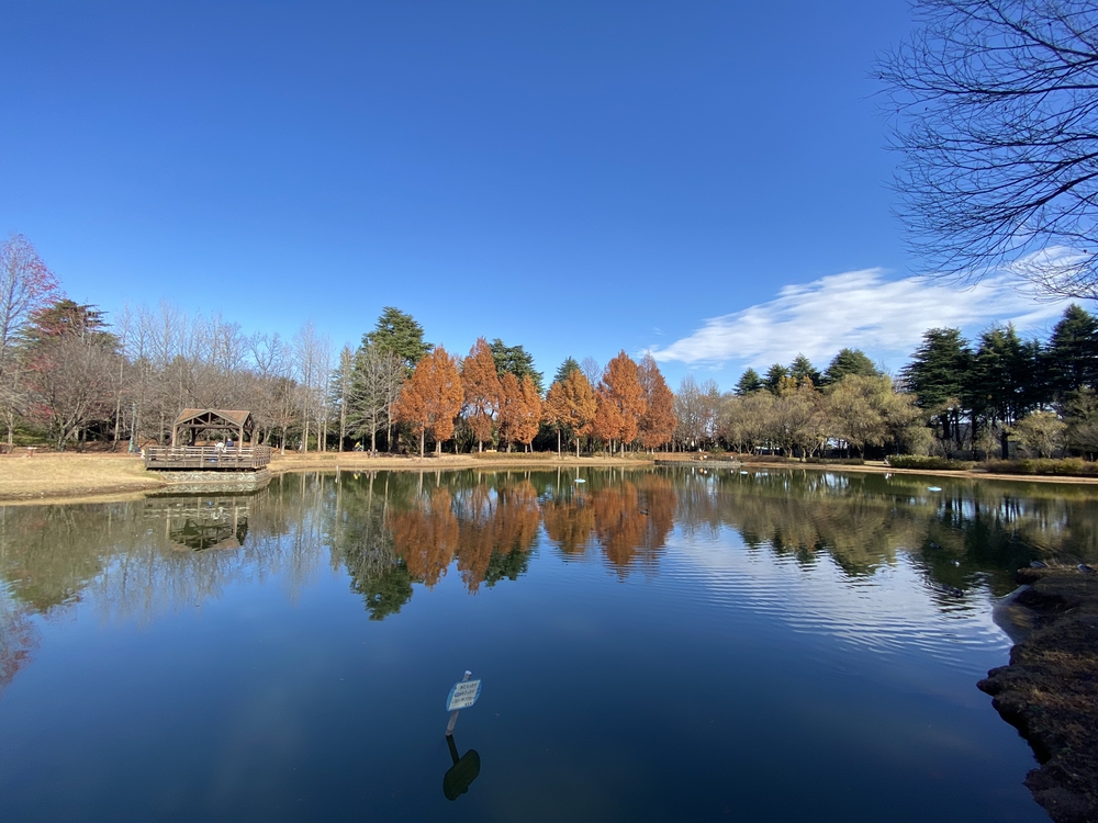 ラントリップ入間の写真33