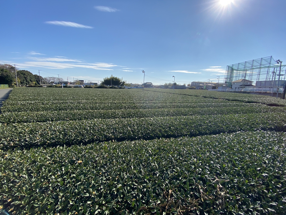 ラントリップ入間の写真36