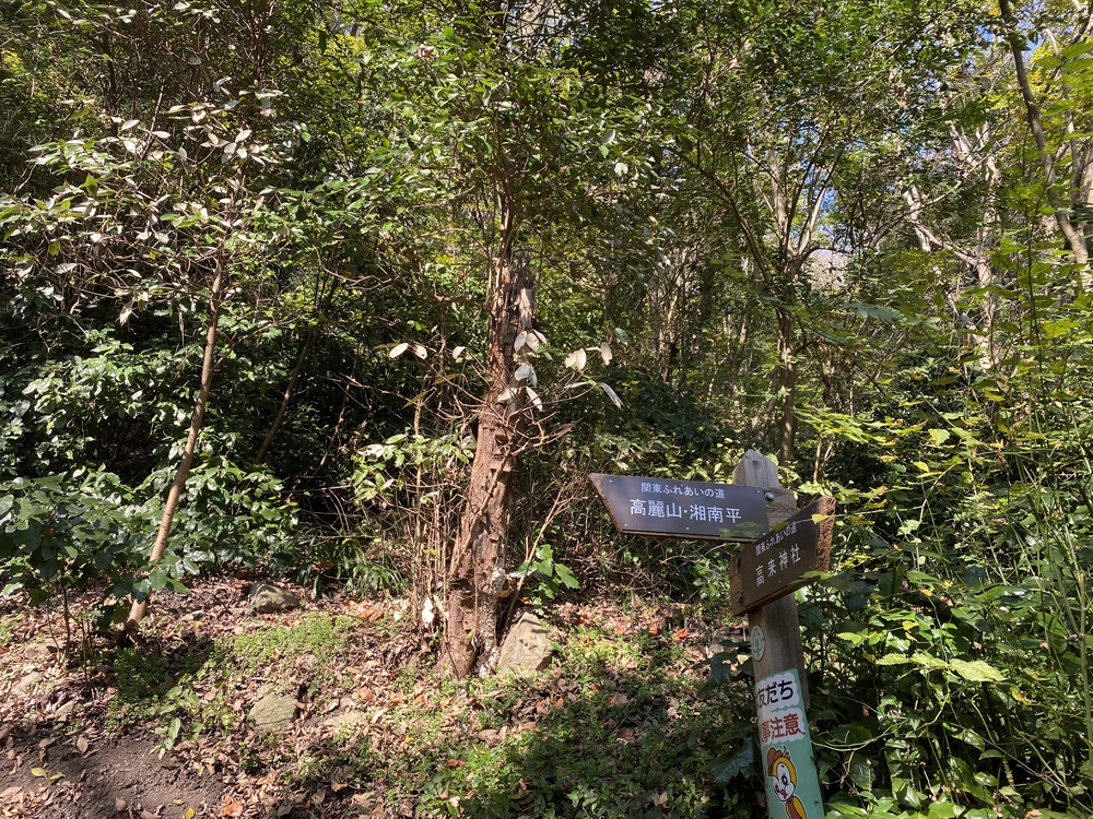 ロードあり！山道あり！海あり！の写真3