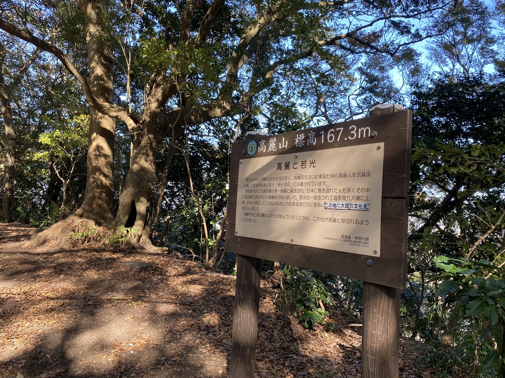 ロードあり！山道あり！海あり！の写真5