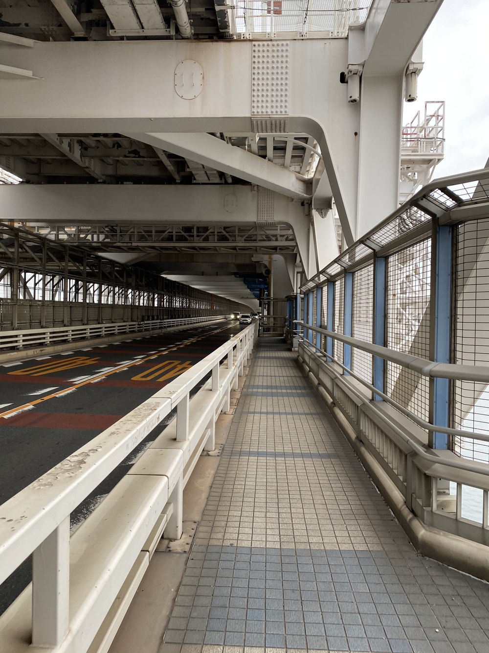 湾岸ぐるっとラントリップの写真18