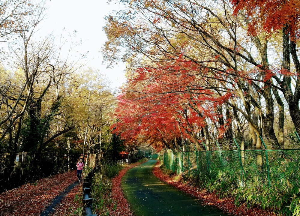 小平駅から多摩湖一周して新宿まで　フルの写真3