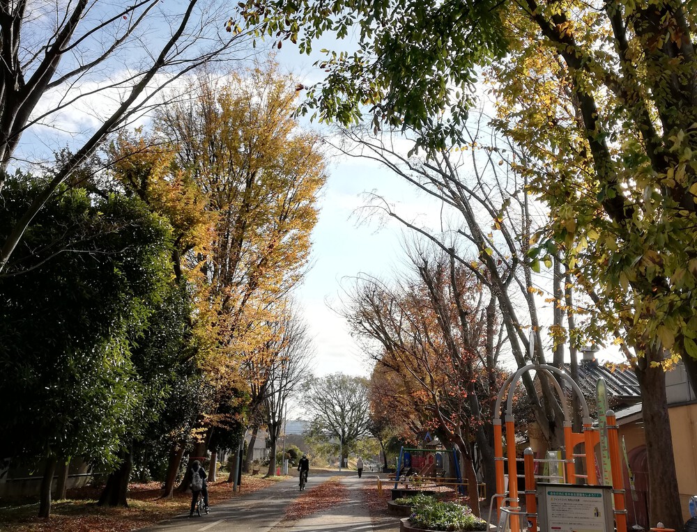 小平駅から多摩湖一周して新宿まで　フルの写真4