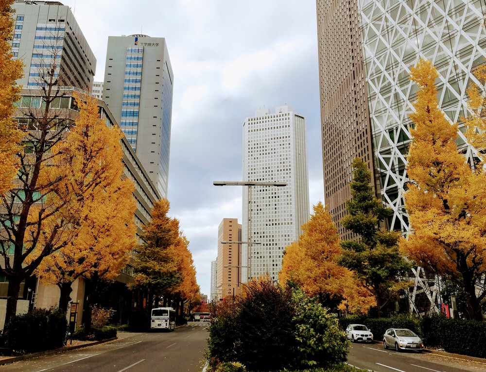 小平駅から多摩湖一周して新宿まで　フルの写真6