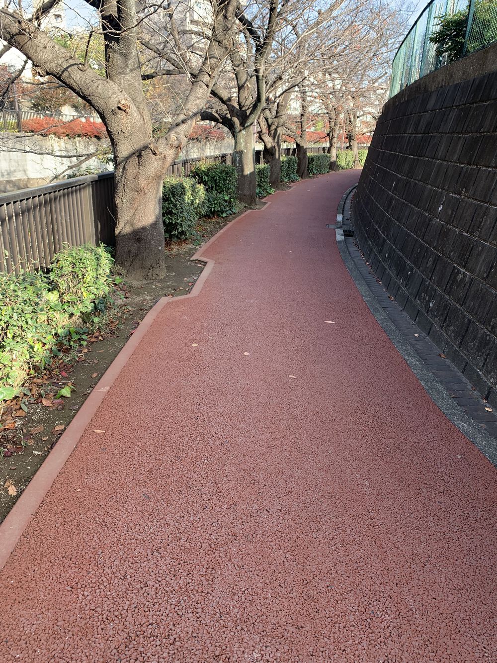 歌川広重と共にRUN 王子〜西新井大師の写真5