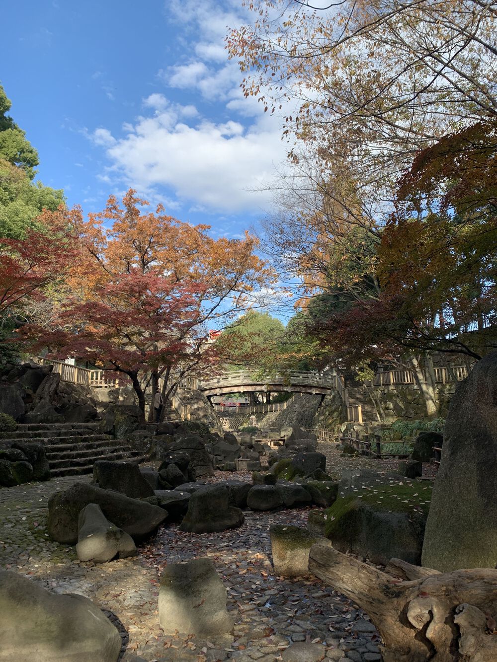 歌川広重と共にRUN 王子〜西新井大師の写真6