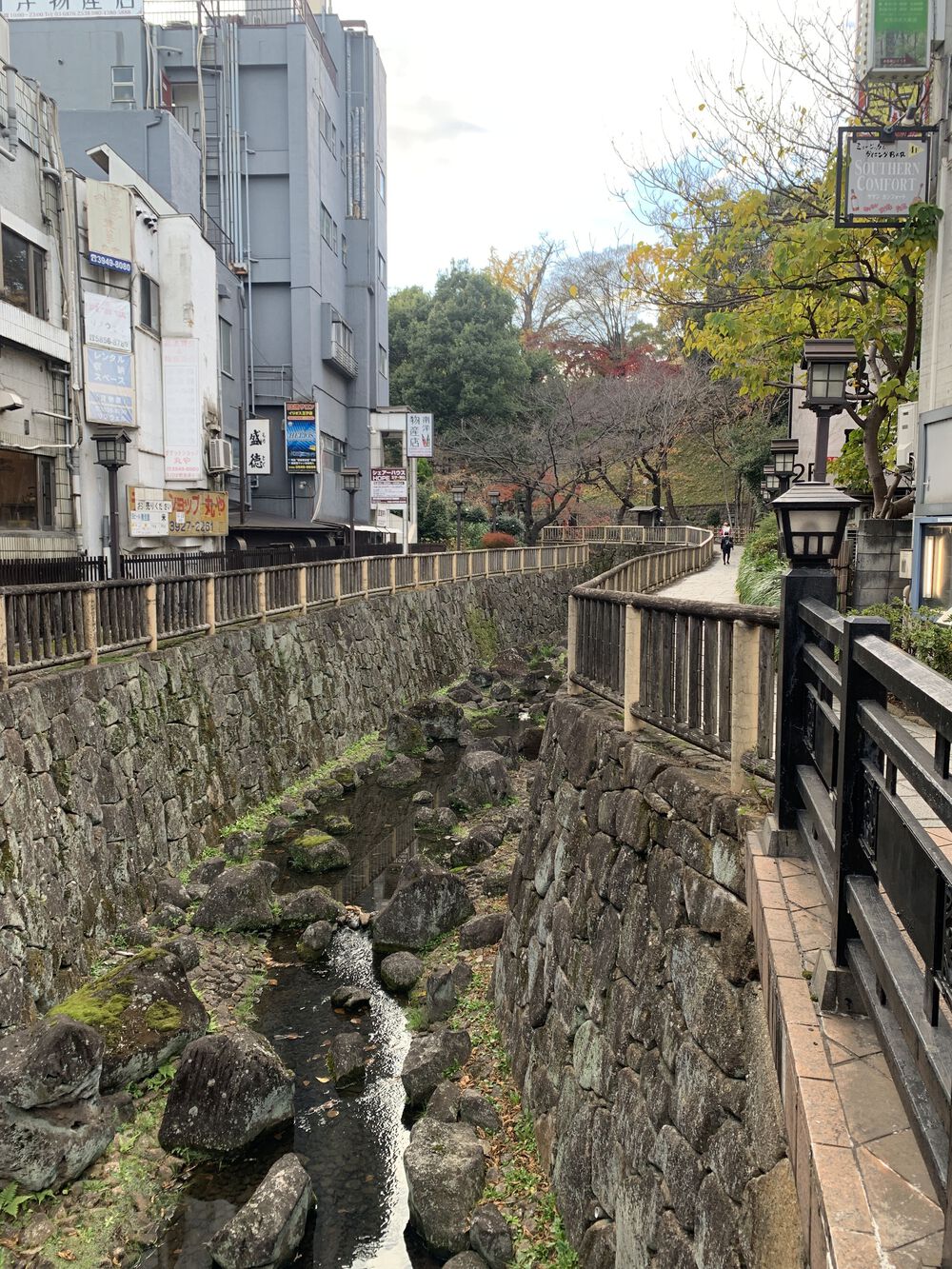歌川広重と共にRUN 王子〜西新井大師の写真7