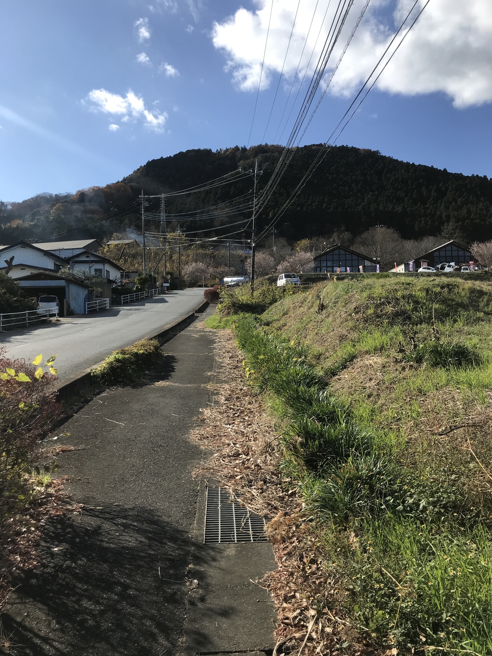 紅葉楽しめますの写真5